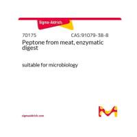 肉蛋白胨(酶消化)