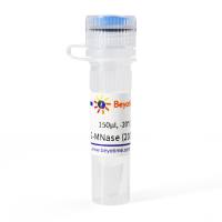 蛋白G-微球菌核酸酶(pG-MNase)