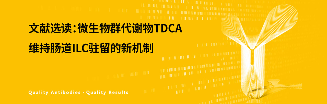 文献选读：微生物群代谢物TDCA维持肠道ILC驻留的新机制