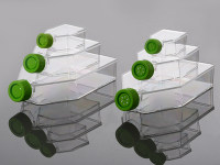 25cm2细胞培养瓶,TC处理,透气盖,灭菌