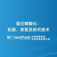 蛋白磷酸化:机制、类型及研究技术