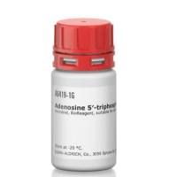 腺苷 5′-三磷酸 二钠盐 水合物