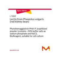 来自 菜豆的凝集素 （红芸豆）.