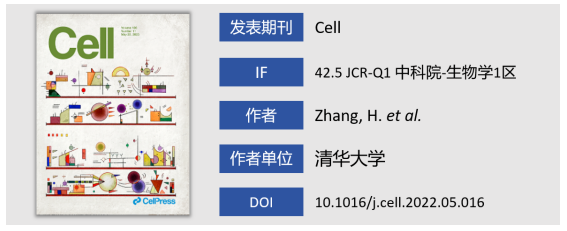 JSENB品牌SCI文献10篇介绍 IF合计超329.6，见证品牌的科研支撑力
