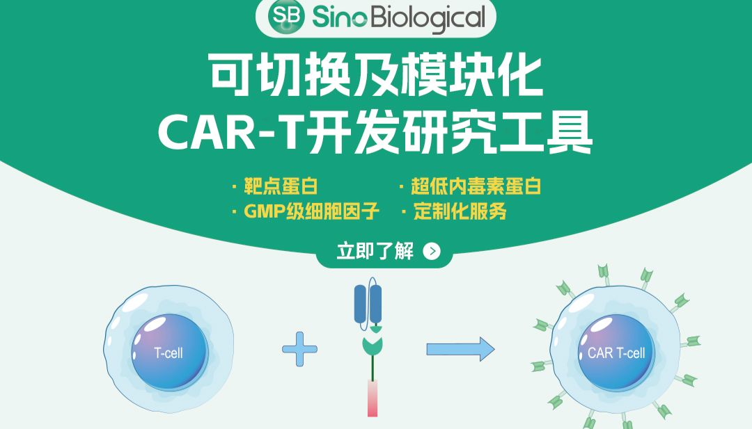 Cell重磅：“声控”CAR-T细胞开关，模块化CAR-T疗法实现精准长效实体瘤杀伤