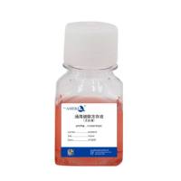 通用细胞冻存液(无血清)，RC60070-50ml