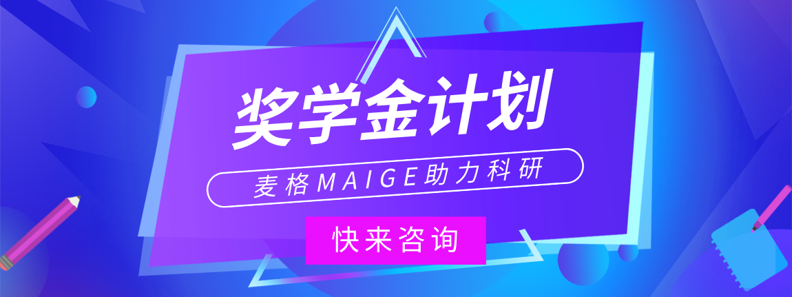 麦格MAIGE奖学金的项目
