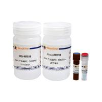 活性氧检测试剂盒(CM-H2DCFDA, 含稀释液)