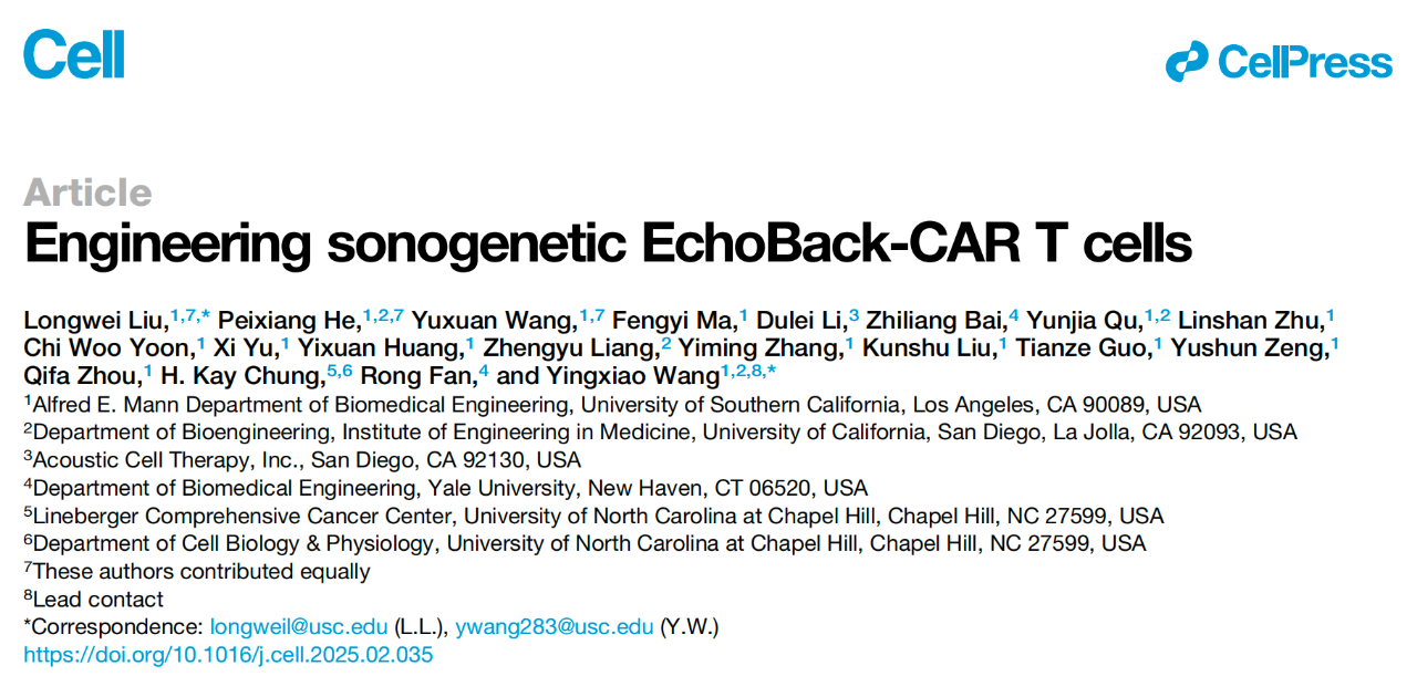 Cell重磅：“声控”CAR-T细胞开关，模块化CAR-T疗法实现精准长效实体瘤杀伤