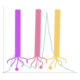 Antibody characterization and functional validation assays available