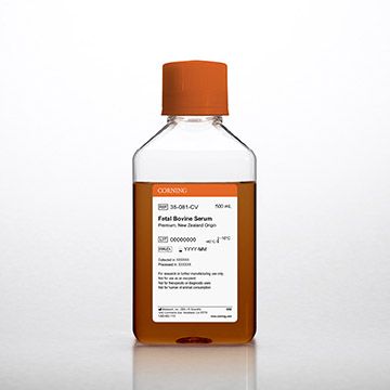 组蛋白提取试剂盒，Histone Extraction Kit