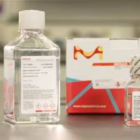 Histopaque-1077 500mL