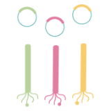 Various antigen formats