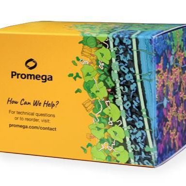 Lumit® dsRNA检测试剂盒