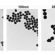100nm标准金纳米颗粒