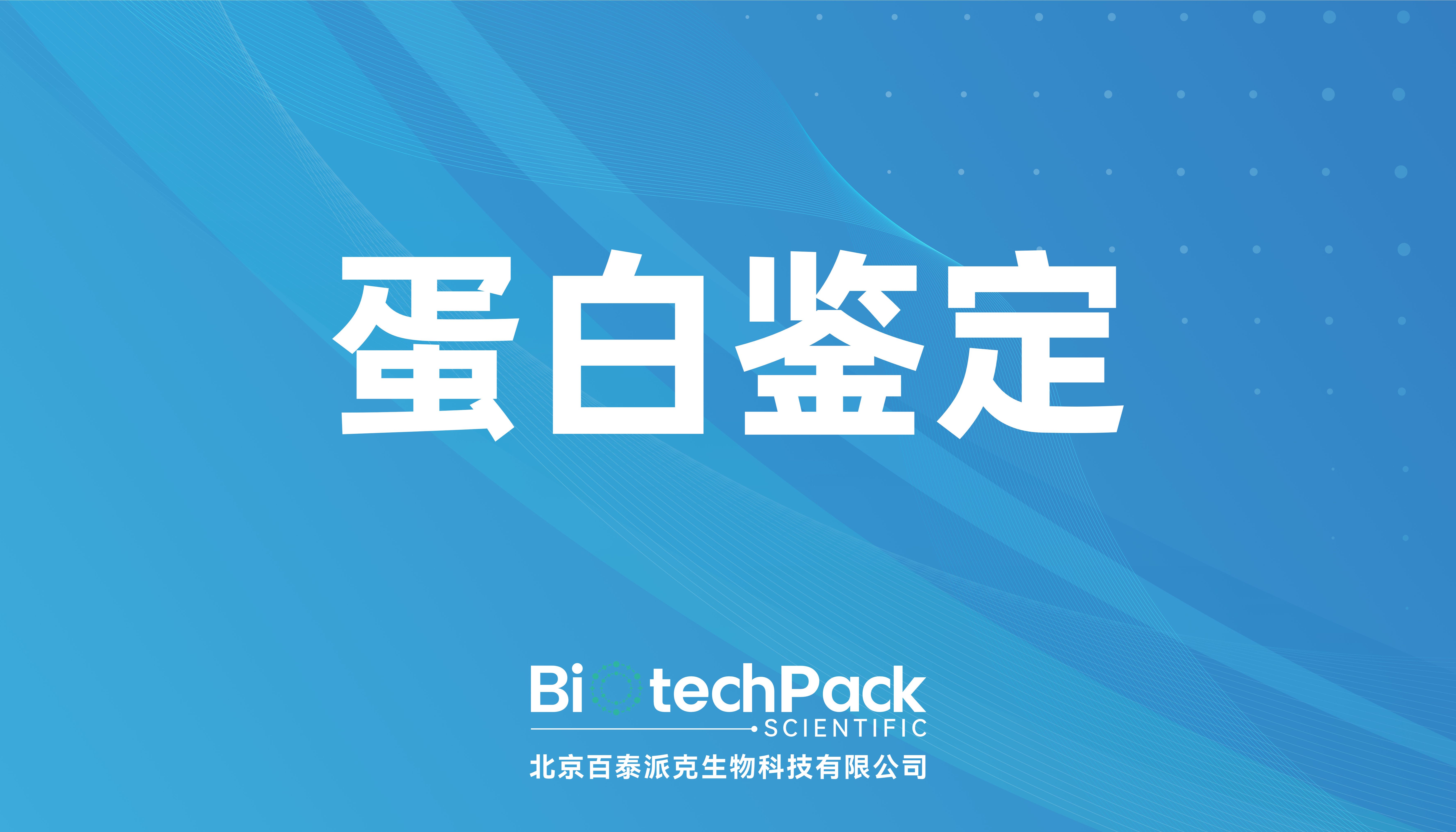 蛋白鉴定-百泰派克生物科技