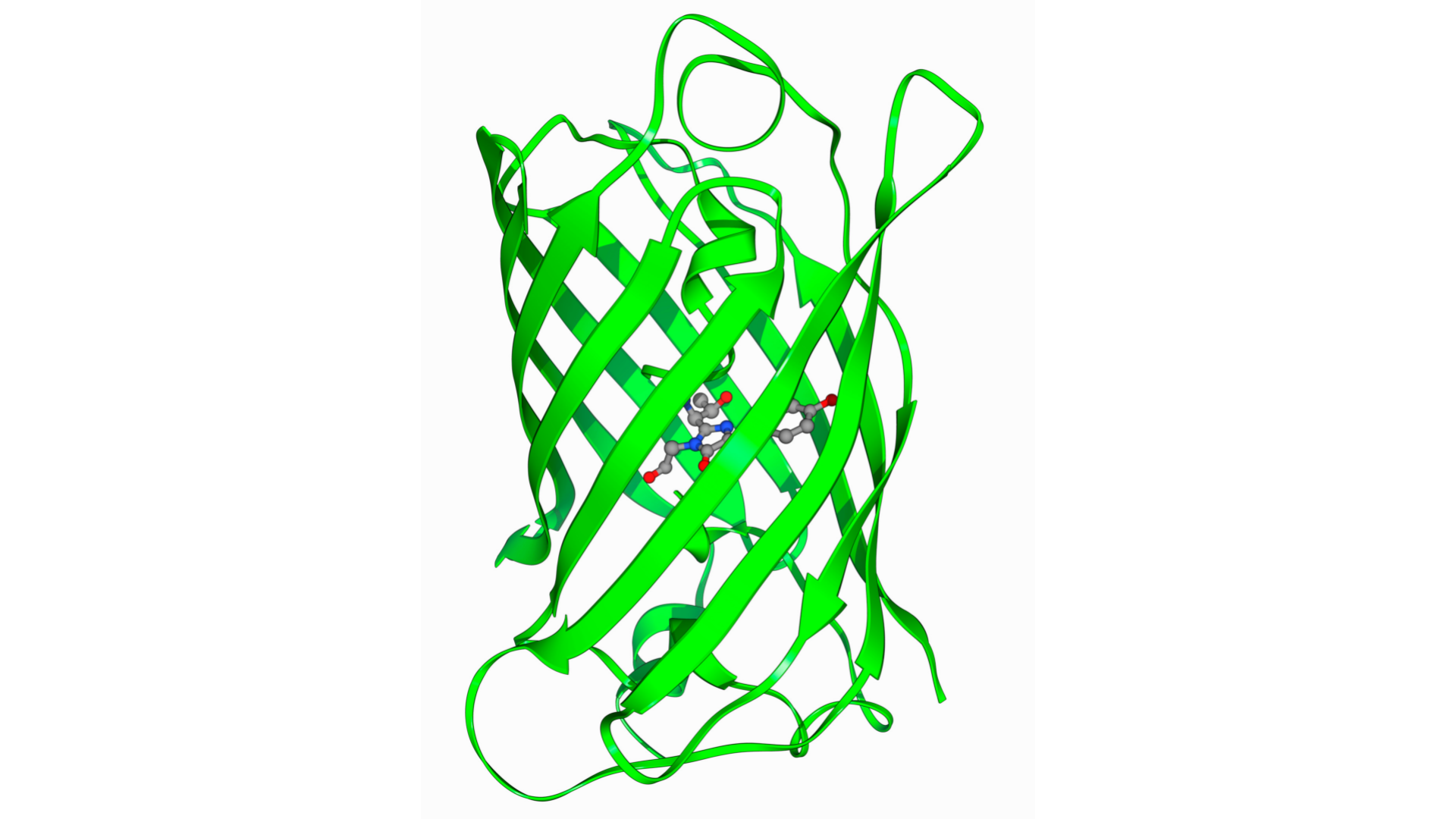蛋白质的多样性功能及研究方法简介