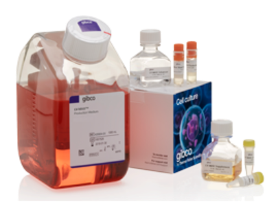 桌子上放着许多瓶子

AI 生成的内容可能不正确。