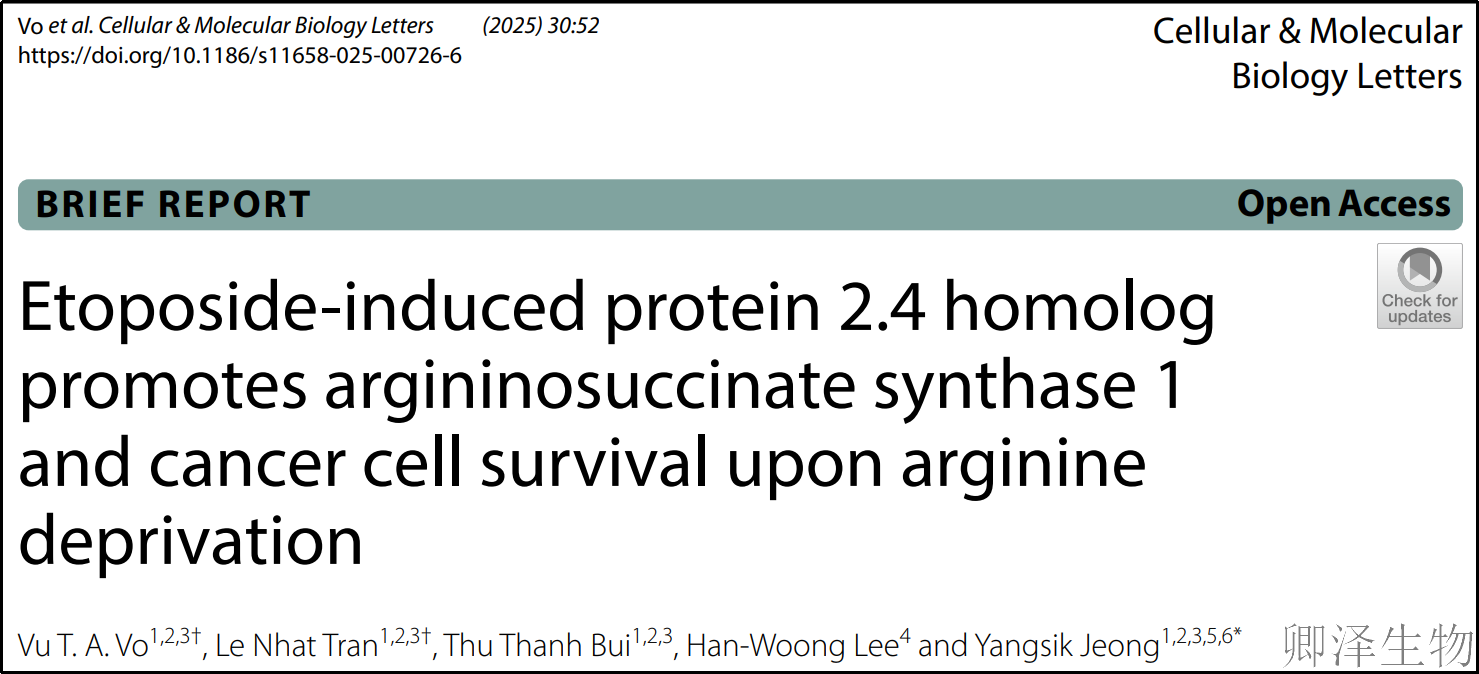 【Polysome技术文献】 | 癌细胞“饿不死”的秘密武器被发现！科学家破解精氨酸疗法耐药新机制