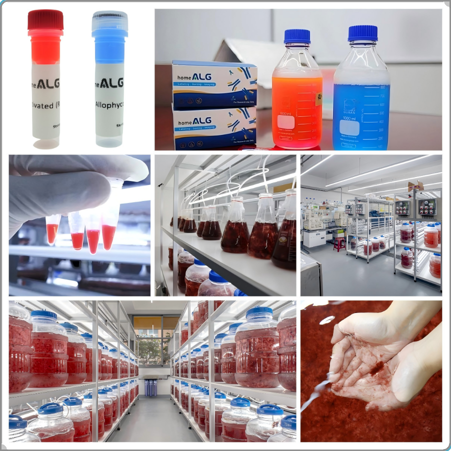 经典荧光素原料（三）—— 高性价比PerCP