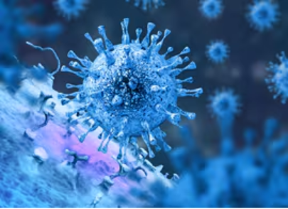 慢病毒载体生产应用及慢病毒转染原理详解-赛默飞