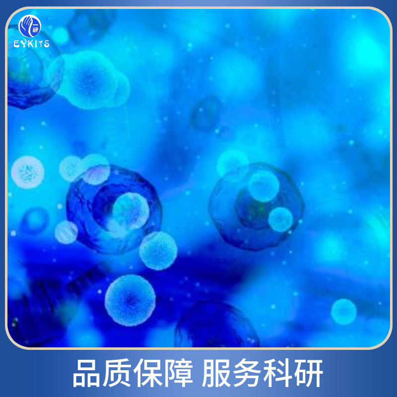 影响细胞分化因素表现有哪些