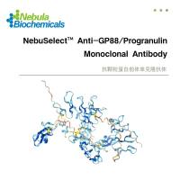GP88  Progranulin (颗粒蛋白前体)抗体