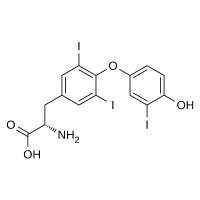 NebuSelect™ Anti-Triiodothyronine (T3) Monoclonal
