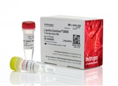 文本, 信件, 白板

AI 生成的内容可能不正确。