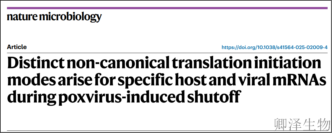 【Polysome技术文献】 | 痘病毒的“双标”策略：关闭宿主蛋白合成，却为自身和关键宿主蛋白开绿灯