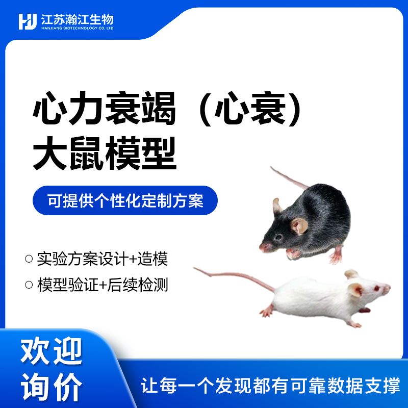 心力衰竭（HF）动物模型