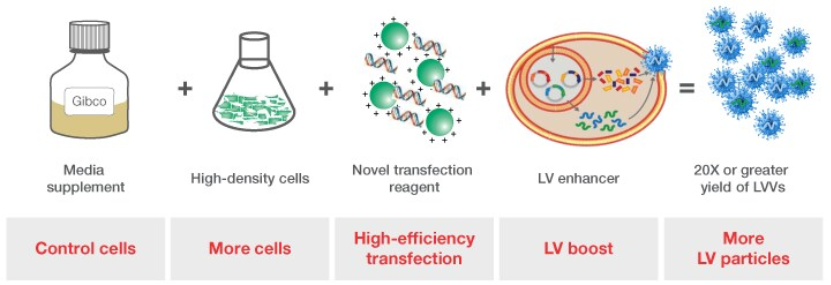 图表, 气泡图

AI 生成的内容可能不正确。