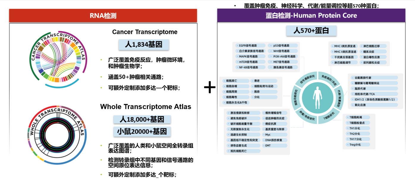 嘿！关于DSP空间组学的FAQ来喽~ （干货分享）
