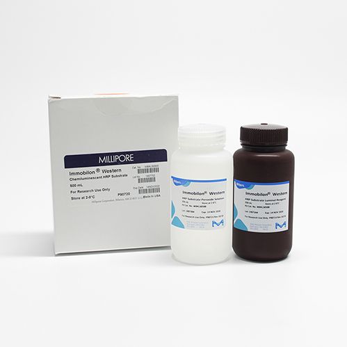 Millipore Western Blot 化学发光HRP底物 ECL发光液