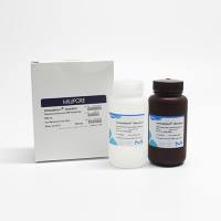 Millipore Western Blot 化学发光HRP底物 ECL发光液