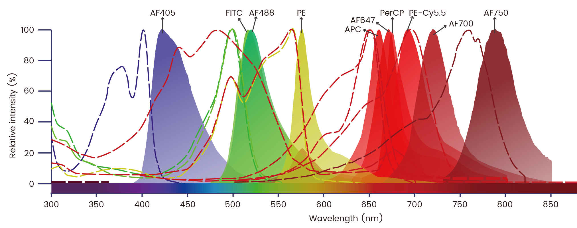 定点标记蛋白紧随体内CAR-T的步伐，加速细胞免疫治疗开发