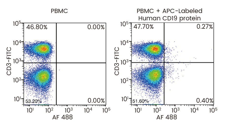 定点标记蛋白紧随体内CAR-T的步伐，加速细胞免疫治疗开发