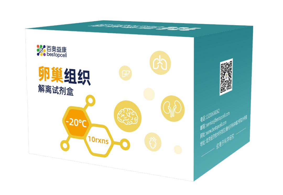 试剂盒推荐 | 百奥益康卵巢组织解离试剂盒(货号：BA3351）