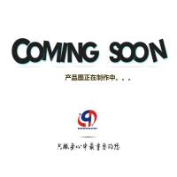 wister大鼠星型胶质细胞