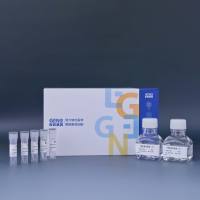 慢病毒浓缩试剂盒