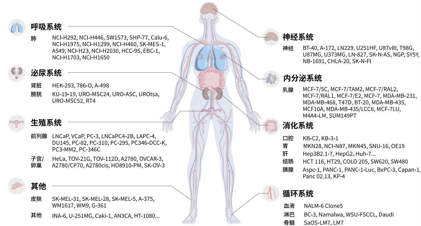 做ADC项目，这些模型和服务可能正是你需要的！
