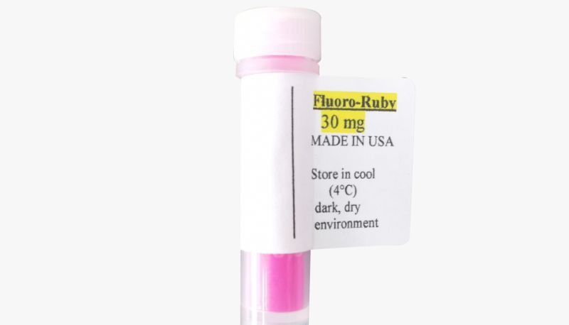 Fluorochrome神经顺行示踪金标准-红色荧光金（Fluoro-Ruby）