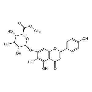 灯盏花乙素甲酯