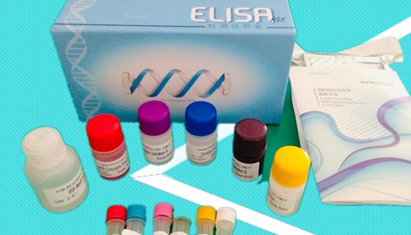 信帆生物：IL-1β试剂盒发表新文献