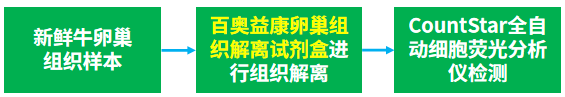 试剂盒推荐 | 百奥益康卵巢组织解离试剂盒(货号：BA3351）