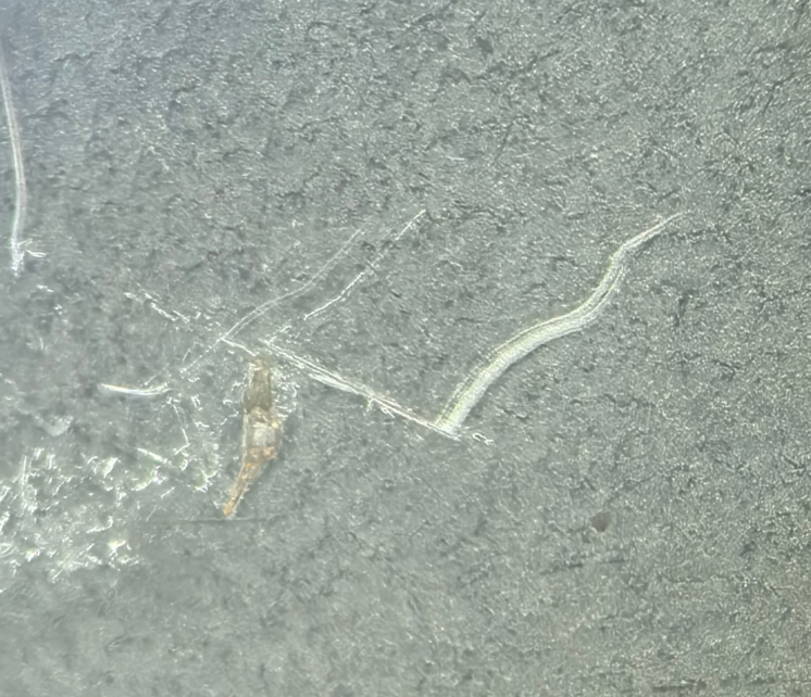 6389326876964072942228106