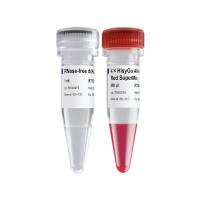 HisyGo All-in-One RT Red SuperMix for qPCR (+gDNA