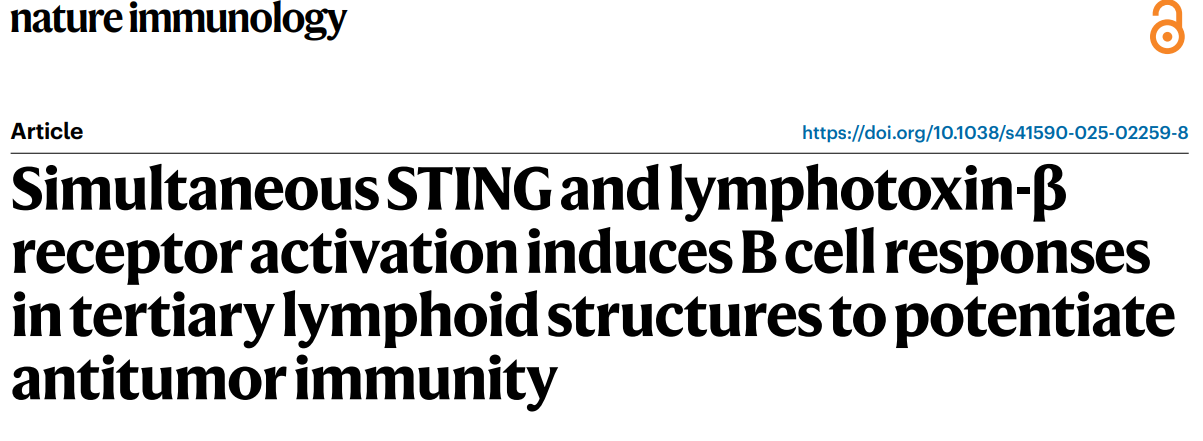 6389309369675939361257923