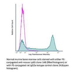【现货团购】BioXcell功能性抗体系列推荐-InVivoMAb anti-mouse Ly6G