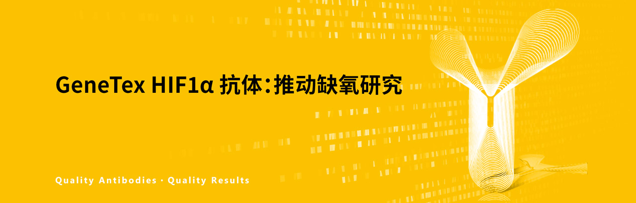 GeneTex HIF1α 抗体：推动缺氧研究